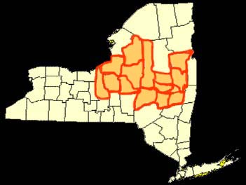 NYS Map